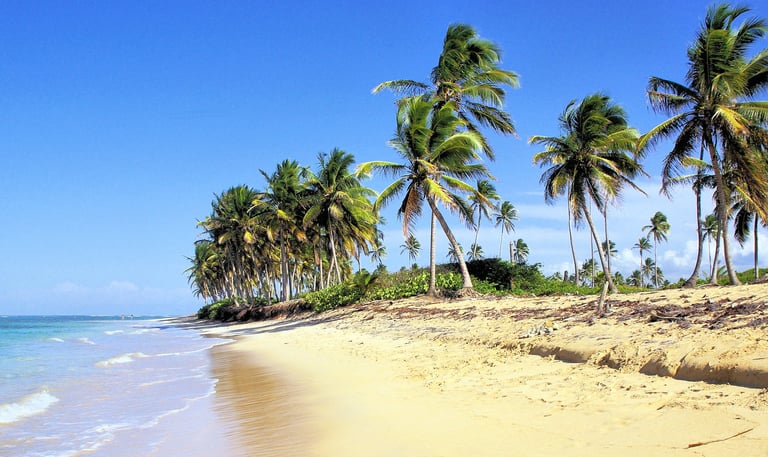 Dominican Republic Beach