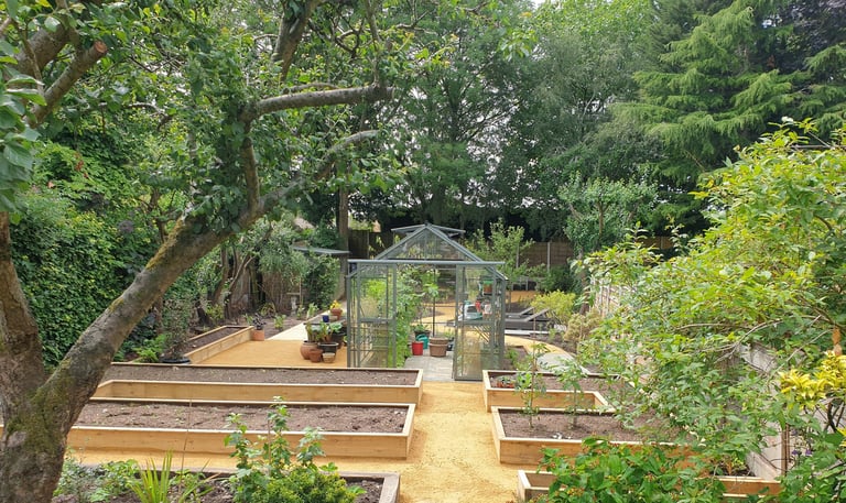 A garden design in Cheshire by garden designer Jon Pilling showing raised planters and a greenhouse