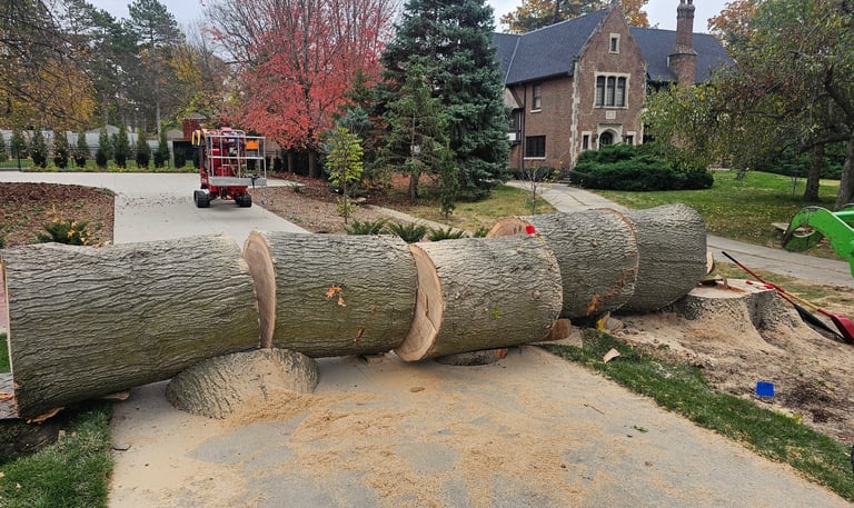 Successful removal over driveway