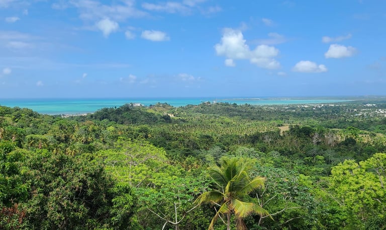 Vista Serena: The Reference Estate for Investing in Miches