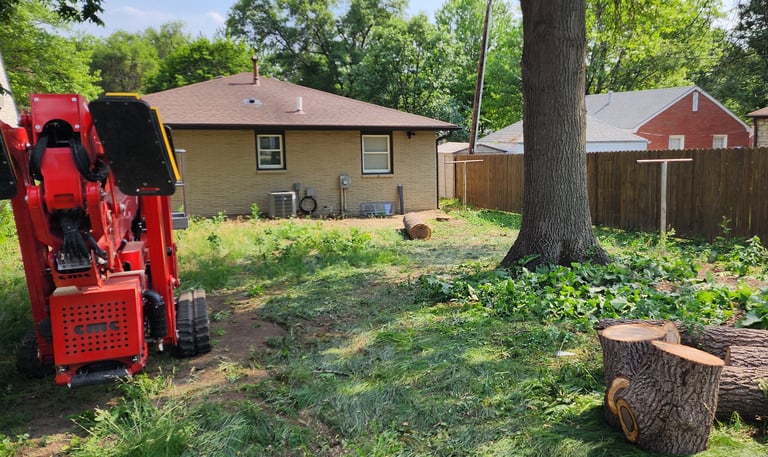 Fits in most backyards