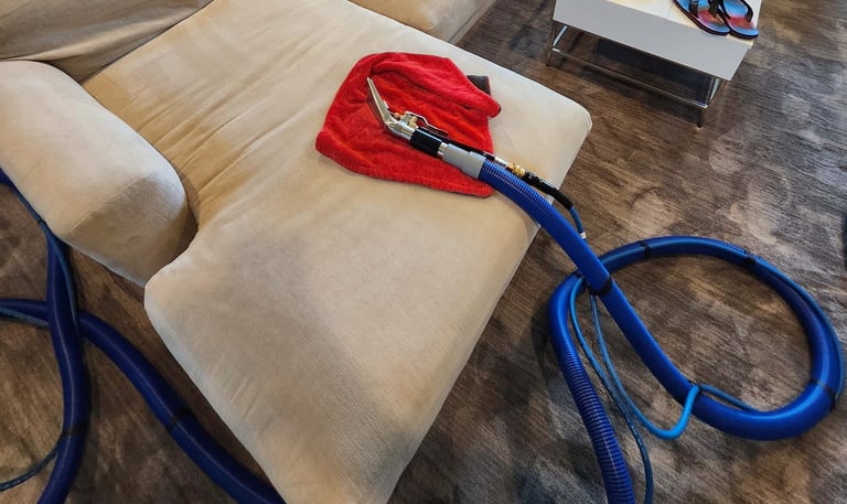 Edmonton downtown upholstery cleaning