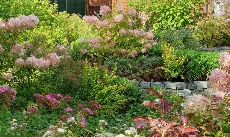 A garden design in Bury, Manchester showing dense planting in shades of pink