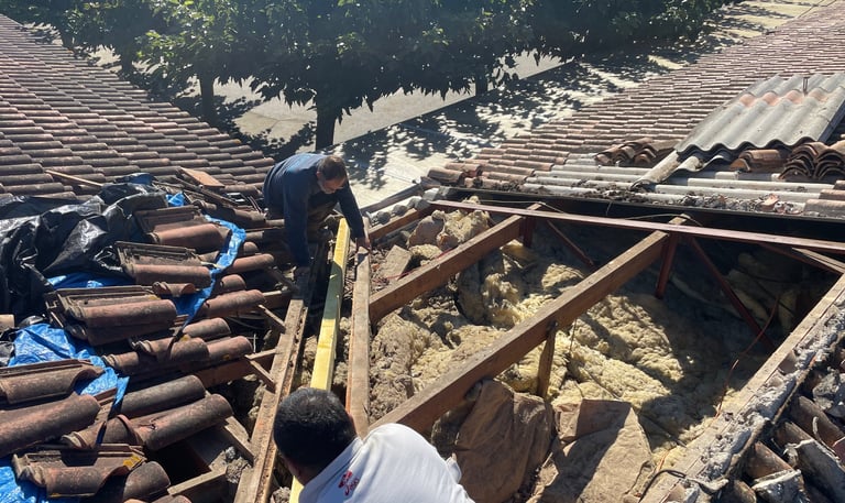 Réfection de noue - charpente