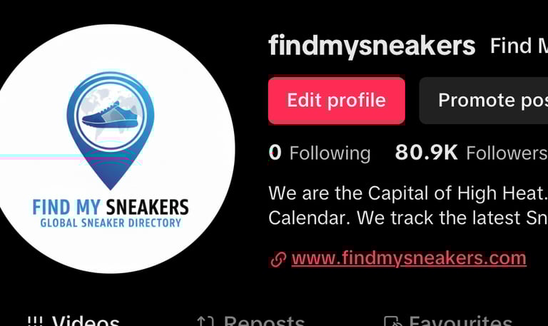 find my sneakers TikTok account 80k followers