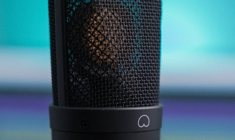 brazilian voice actor neumann microphone