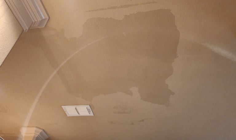 water-stain-at-home-in-brushy-creek