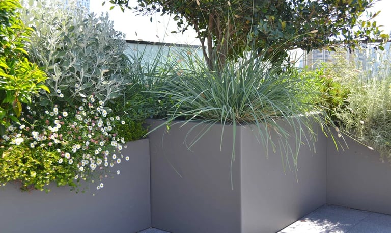 terrasse ou balcon aménagé avec des bacs contenant des arbustes, graminées et plantes fleuries