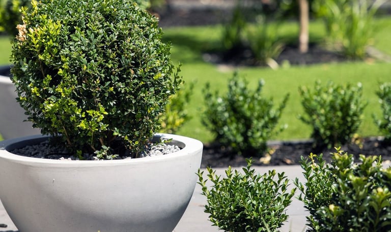a potted planter with a potted planter