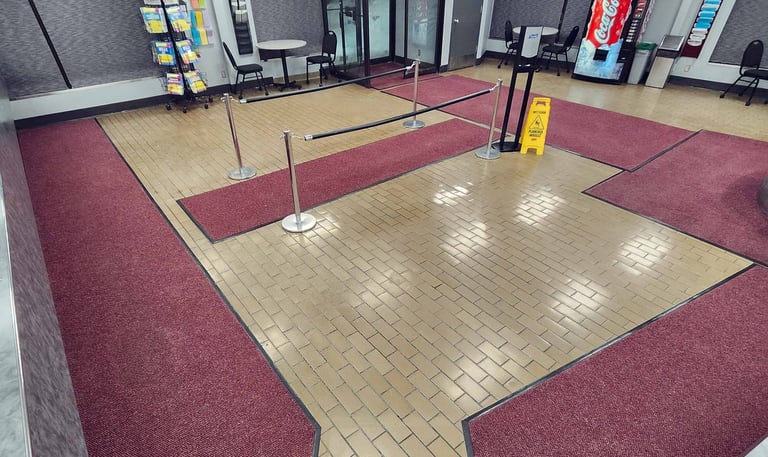 Edmonton commercial carpet cleaning