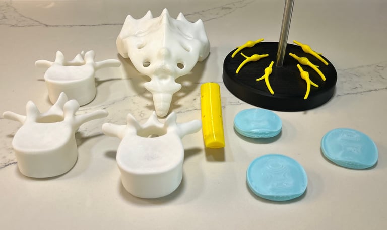 Spine Model