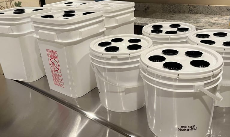 Hydroponic grow buckets on a table