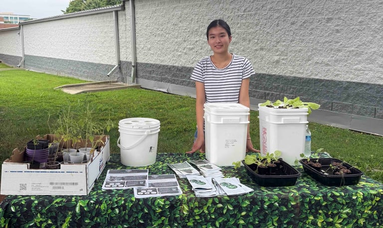 A high school student standing behind a table with hydroponic grow buckets and plant seedlings