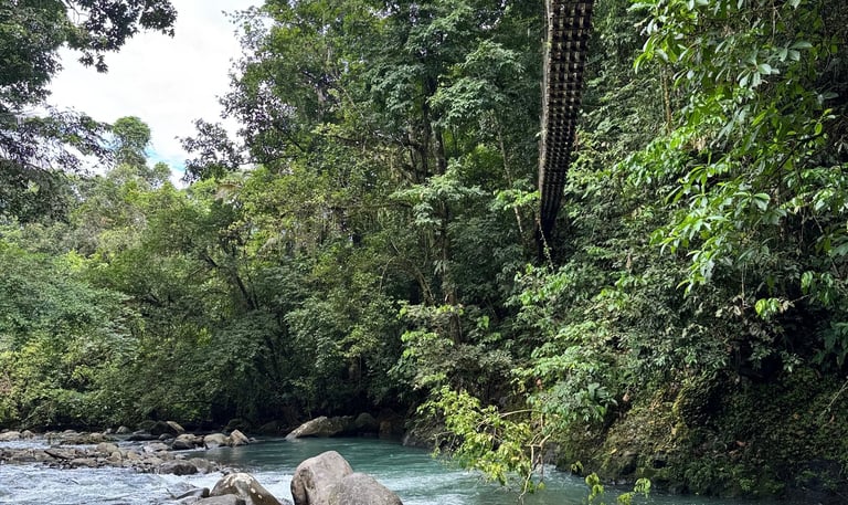 Rio Celeste Apartments for rent