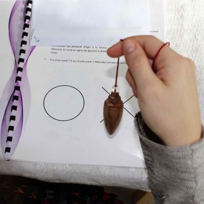 Stage d'initiation