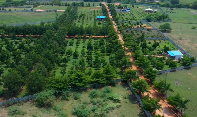 Brundhavanam Properties