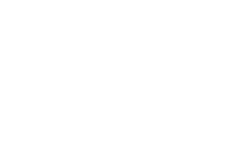 WayFinderX LLC Consulting Company Logo