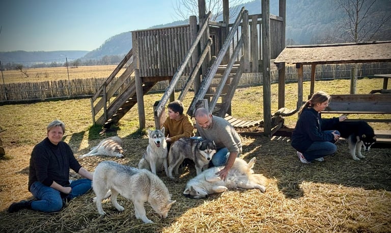 Husky-Erlebnisse, Husky-Ausfahrten, Husky-Trekkingtouren, Husky Abenteuer, Dietfurt, Bayern