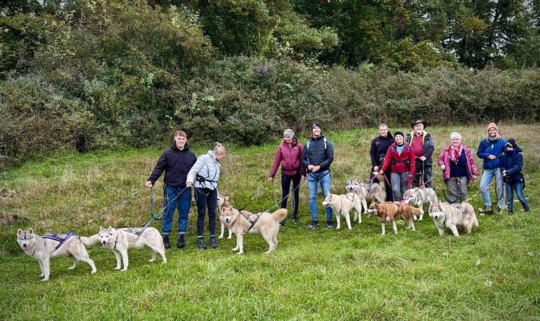 Husky-Erlebnisse, Husky-Ausfahrten, Husky-Trekkingtouren, Husky kuscheln, Husky Abenteuer, Bayern
