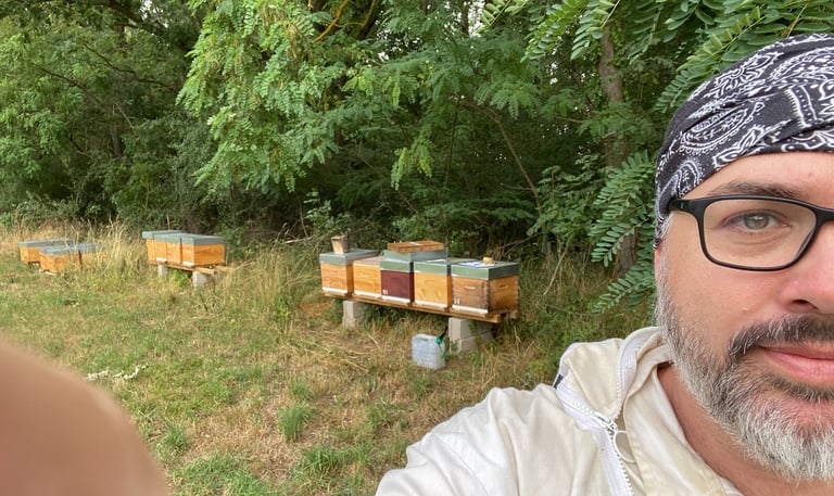 apiculteur en alsace devant ruches abeilles