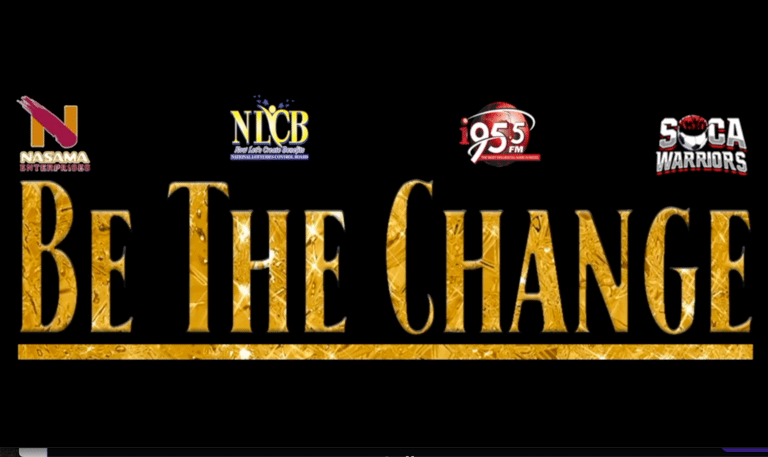 A thumbnail picture of videography video "Be The Change Charity Concert"