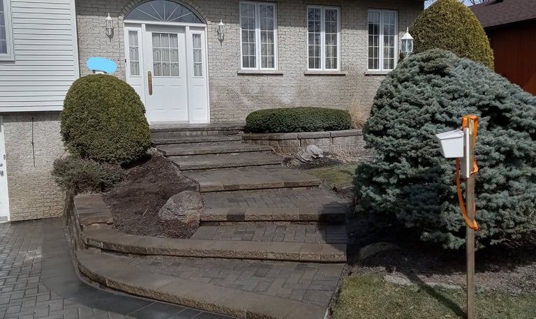 Entrée de maison en pavé uni