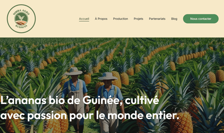 Page d'accueil de l'entreprise agricole NIMBA AGRO BUSINESS.
