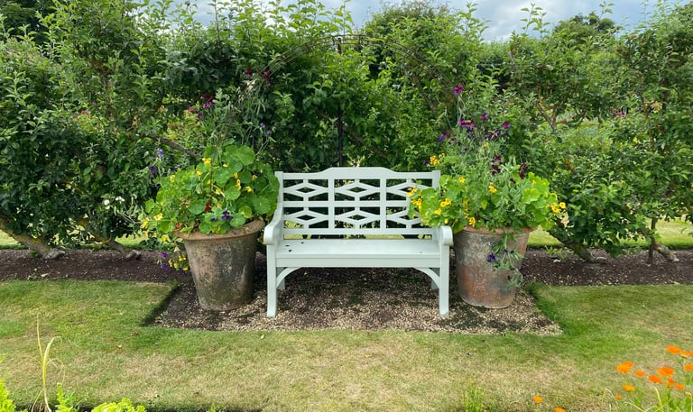 Calm setting of a freshly cur garden and a bench