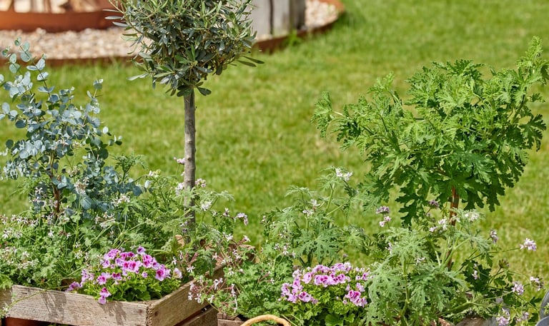Beautiful norwich garden freshly landscaped