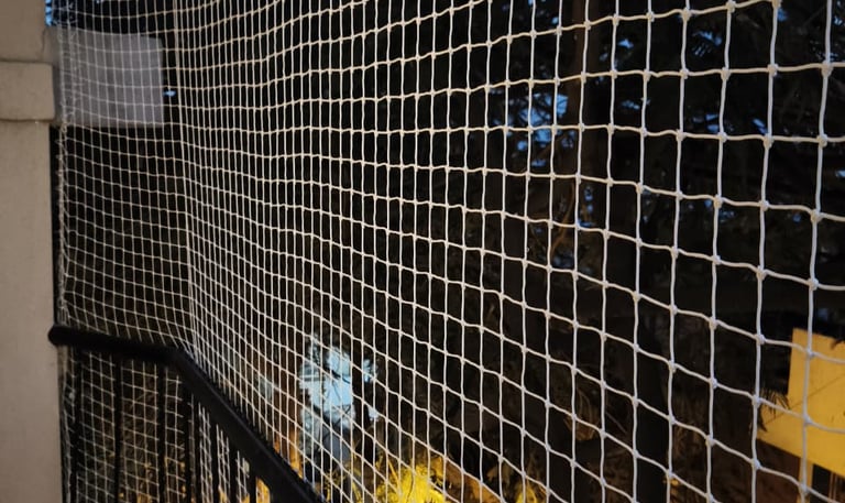 Close-up of a tightly woven safety net stretched across a balcony railing in a Basavanagudi neighbor