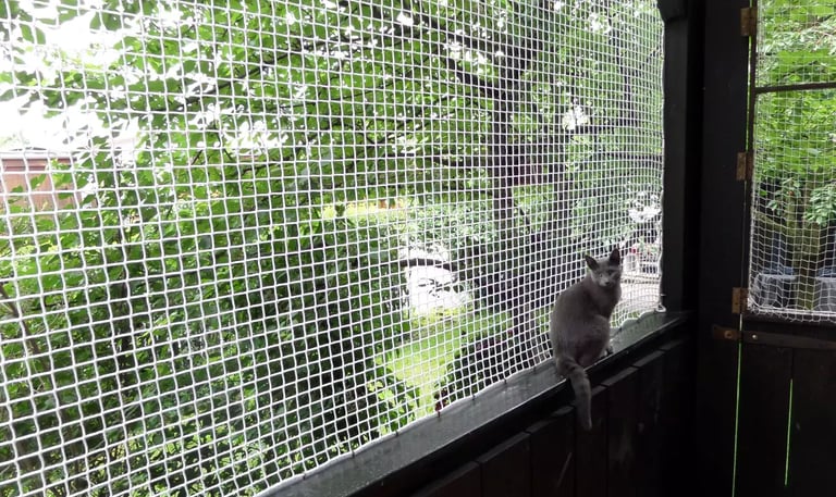 A cozy balcony in KR Puram fitted with sturdy cat pet safety nets, sunlight filtering through.