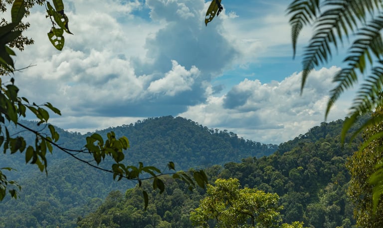 a mountain view of a mountain range with a few trees - SEMATA INDONESIA Program