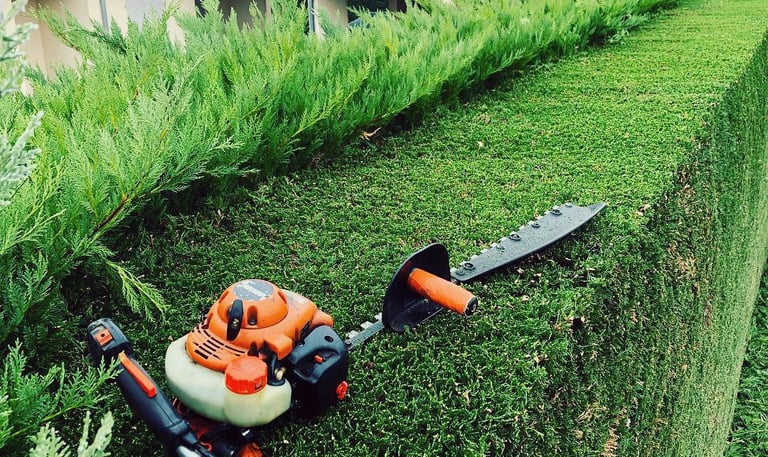 a hedge trimming a hedge hedger