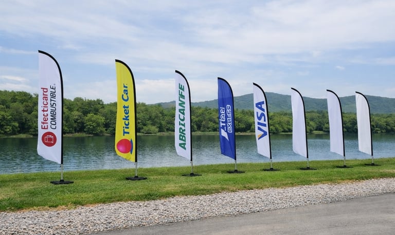 banderas promocionales en aguascalientes