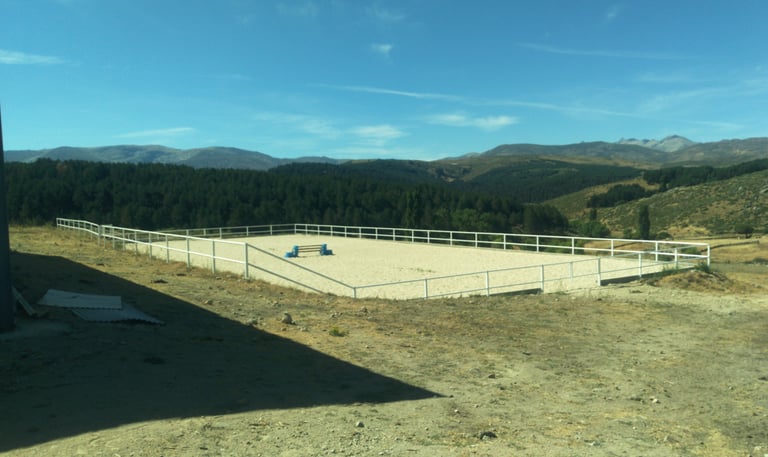 proyecto pista equina ejercicio