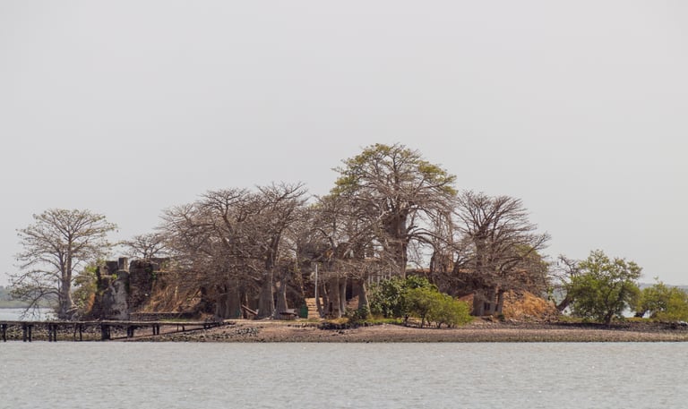 view of kunta kinteh island