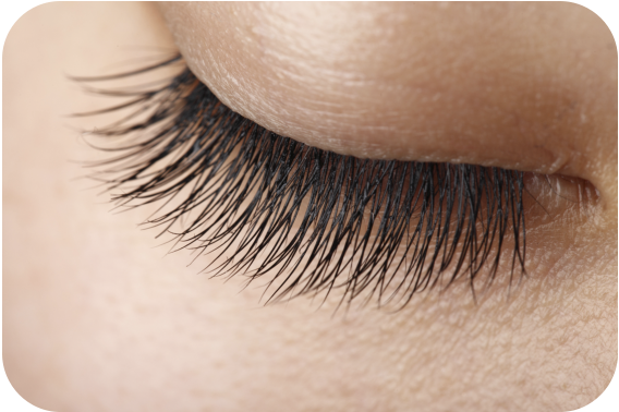 Faux cils