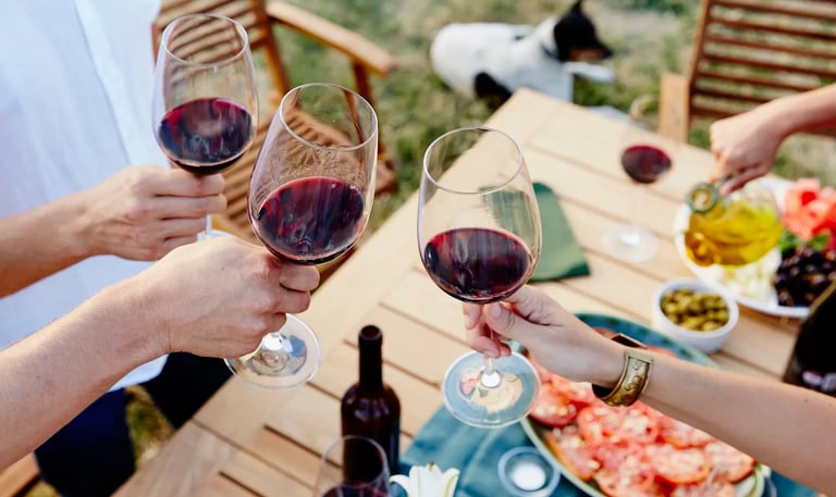degustacion de vino de ronda