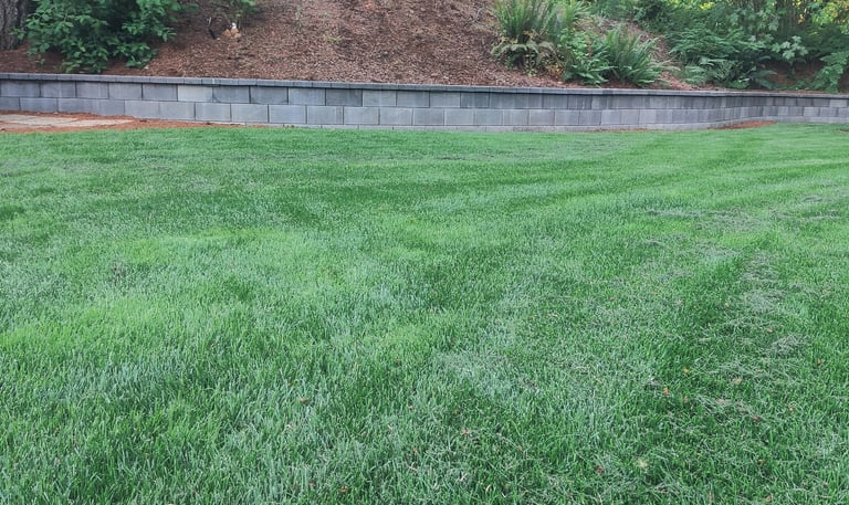 Lawn Hydro Seeding near me Lake Oswego West Linn, Cedar Mill Portland Tigard Beaverton Hillsboro