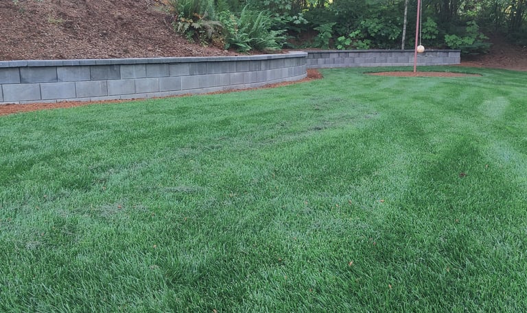 Lawn Seeding near me Lake Oswego West Linn, Cedar Mill Portland Tigard Beaverton Hillsboro
