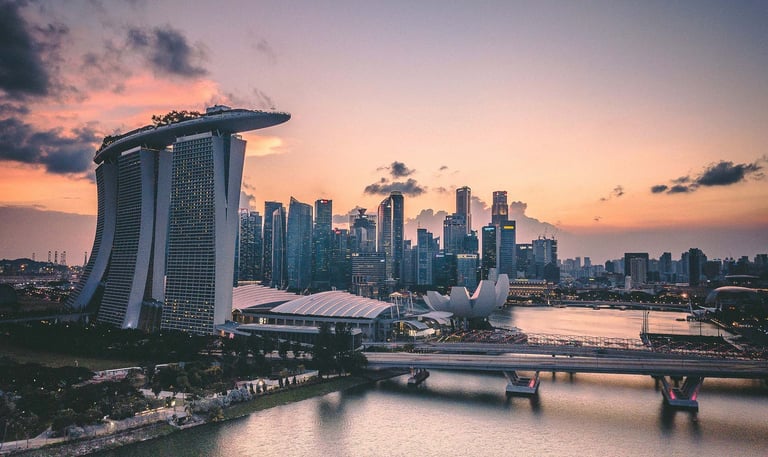 Profitable Singapore-Based Businesses