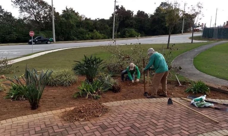 Conservadoria e Manutenção Geral de Áreas Verdes