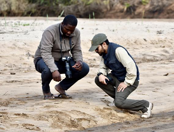 The Lion Team looking for tracks