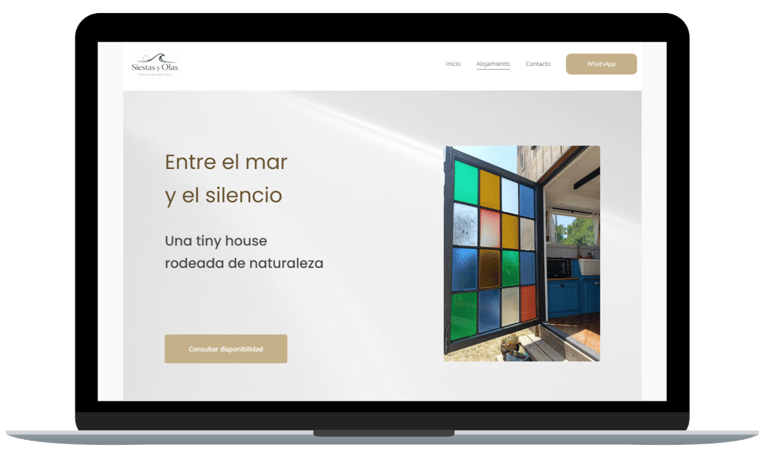Diseño web profesional Mar del Plata