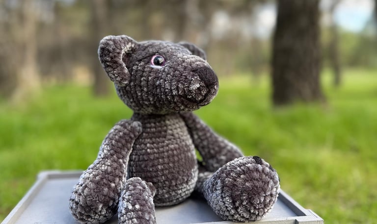 Coco, un amiguito muy especial