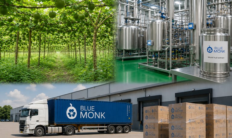 Blue Monk Global Tech