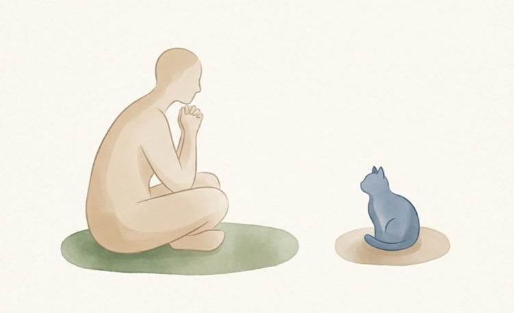 Minimal illustration of human and cat showing early bonding and adjustment