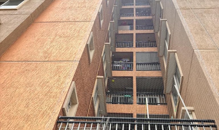 Wide shot showing a building facade with multiple pigeon nets installed on ducts, sunlight casting s
