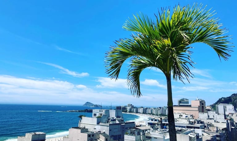 Professional portfolio banner for technical writer and analyst