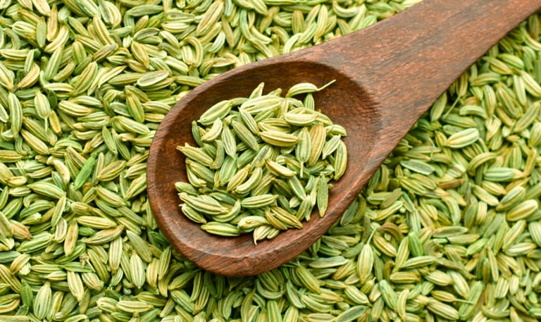 Fennel Seed Oil /Foeniculum vulgare L.  Family : Apiaceae  Part Used : Seeds  CAS Number :  8006-84-